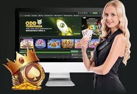 apexbet